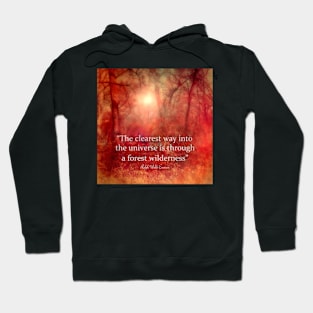 Through The Wilderness Emerson Quote Hoodie